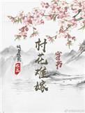 村花难嫁(穿书)格格党
