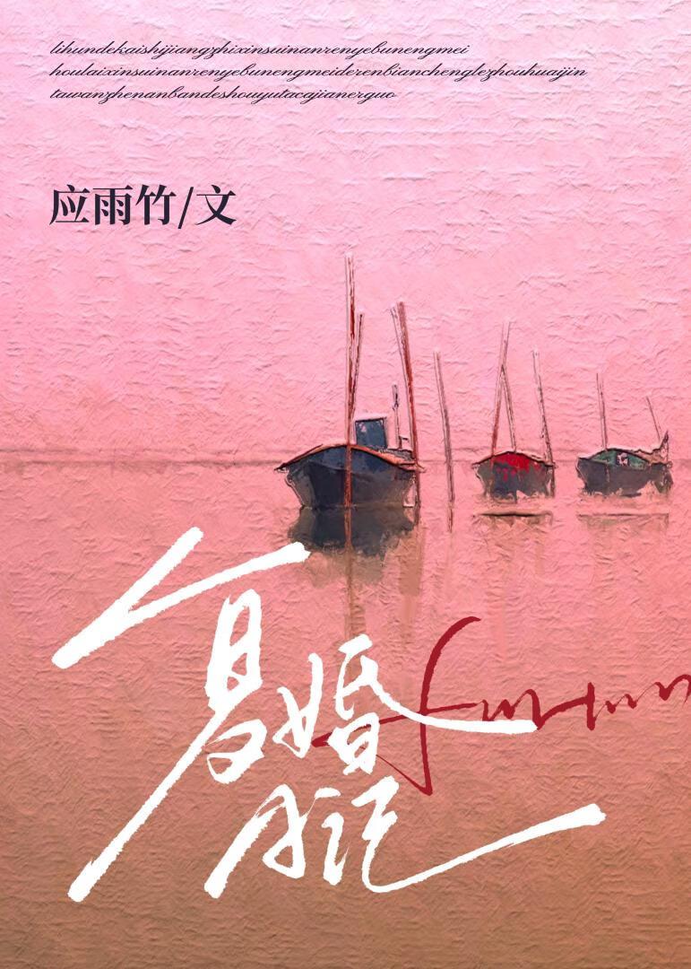 复婚日记应雨竹txt