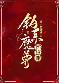 钓系魔尊怀崽跑GL