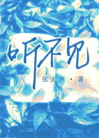 听不见歌词