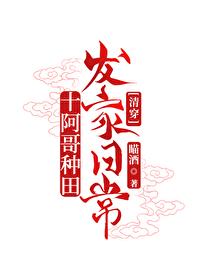 穿越十阿哥