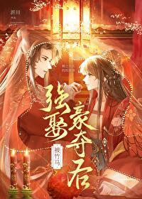 被竹马强娶豪夺后冠宠京城