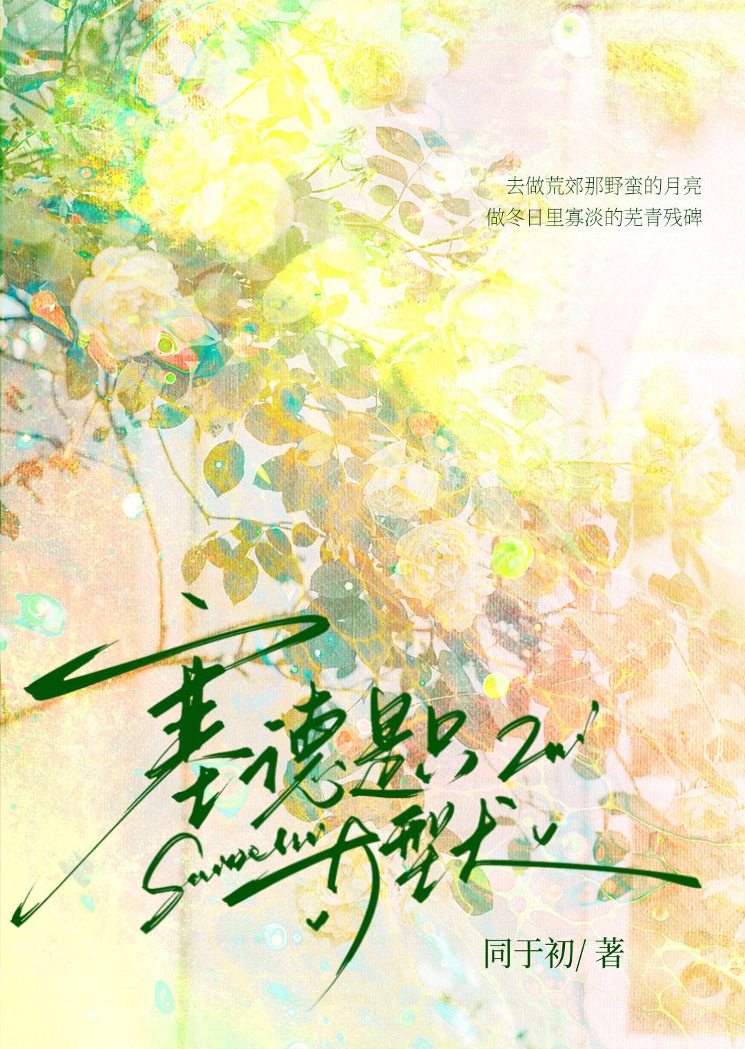 塞德兹简介