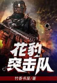 花豹突击队全文免费阅读百度