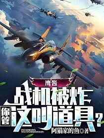 鹰酱的实力