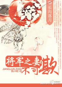将军妻不可欺电视剧在线观看