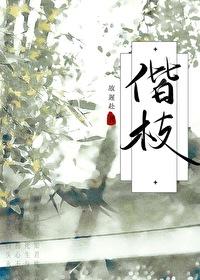 相知岁岁年年