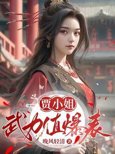 小贾是谁