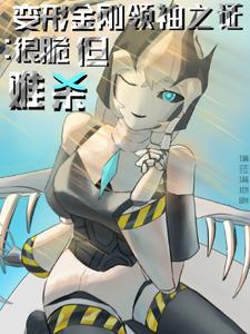 变形金刚领袖之证图鉴