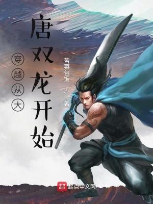 穿越大唐双龙世界的武侠
