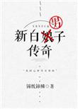 新白男子传奇的结局