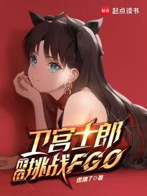 卫宫士郎正在挑战fgoTXT