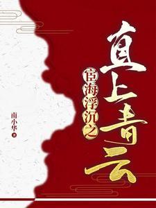 官场年轻书记