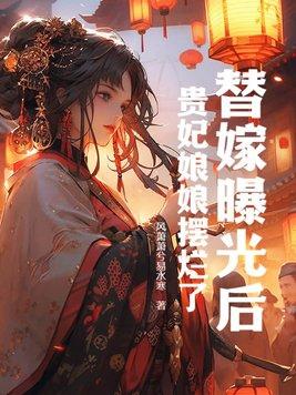 替身贵妃传