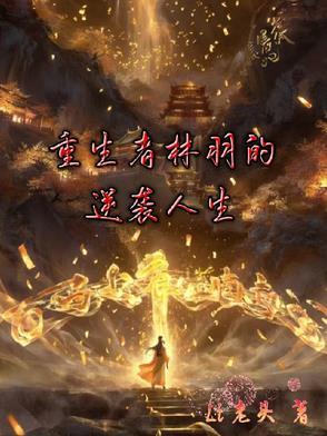 重生主角林羽天的