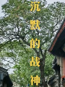 沉默21