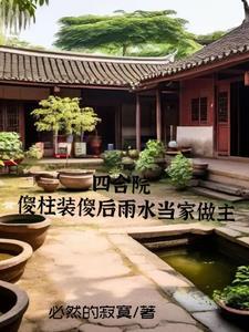 四合院傻柱不养何雨水