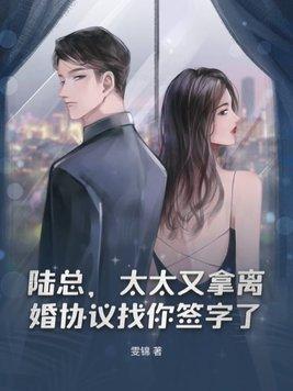 陆太太又在闹离婚了