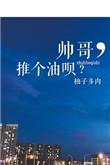 帅哥推个油呗简介