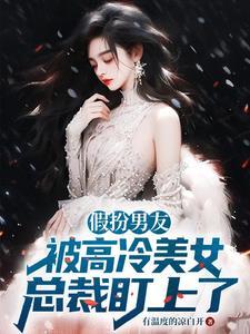 假扮男朋友是什么连续剧