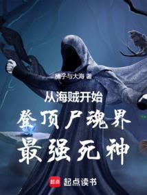 从海贼王开始神级选择