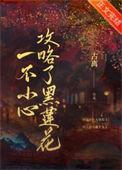 一不小心攻略了黑莲花