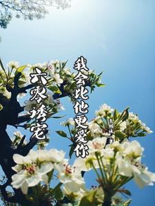 六零诱宠:我会比他更爱你